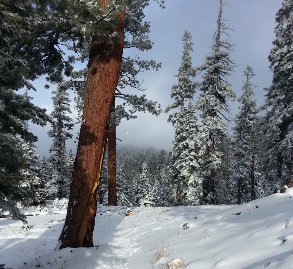 snow-mountains